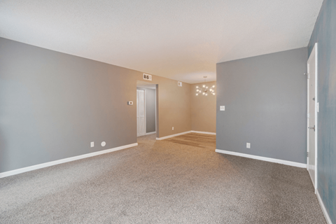 A room with grey walls and a carpeted floor.